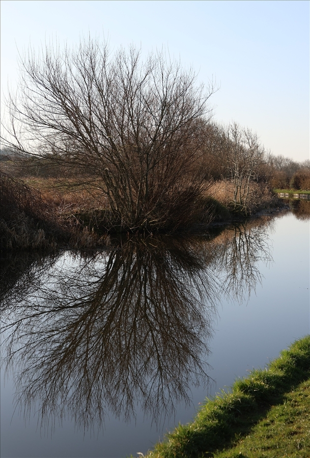 Winter Reflections - John Pinches